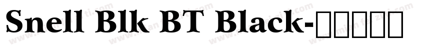 Snell Blk BT Black字体转换